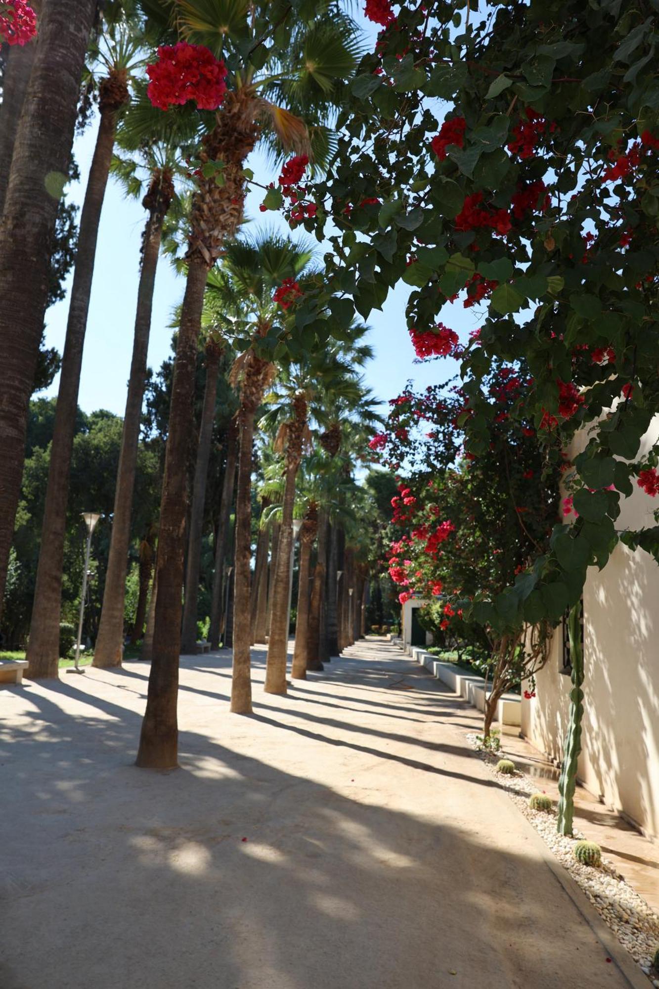 Batchisarai Riad Fez