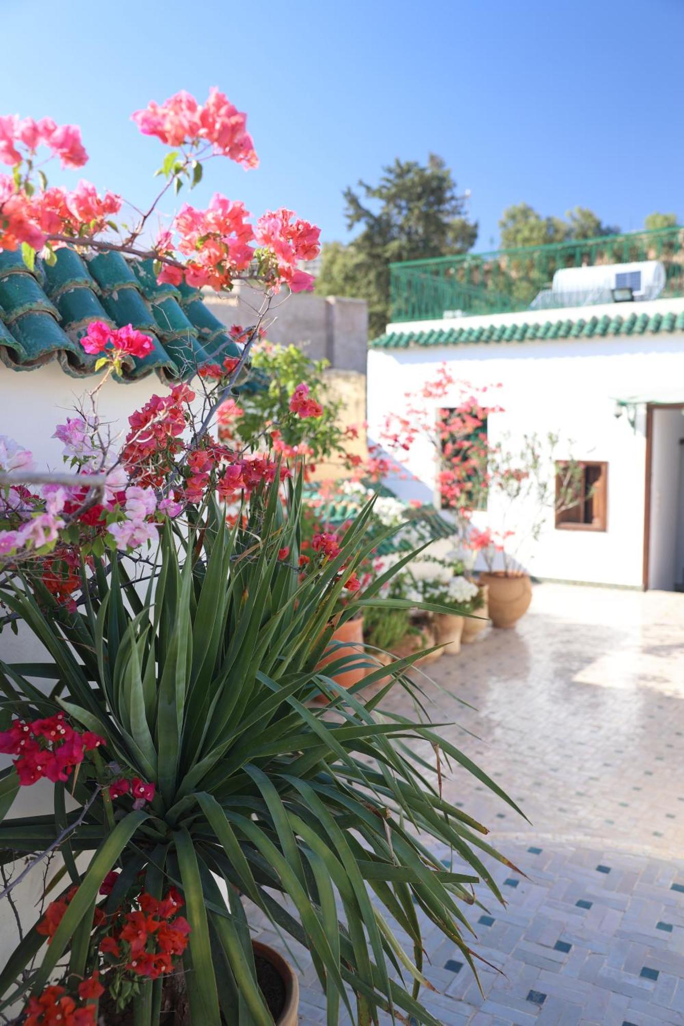 Riad Batchisarai 3*