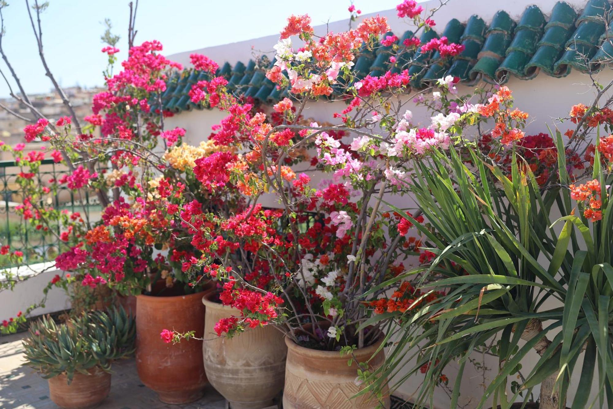 Riad Batchisarai